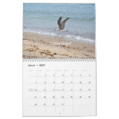 Calendrier du mur des oiseaux sauvages (Mar 2027)