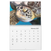 Calendrier du mur des tortues marines (Feb 2027)