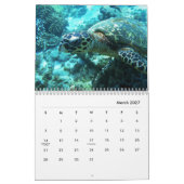 Calendrier du mur des tortues marines (Mar 2027)