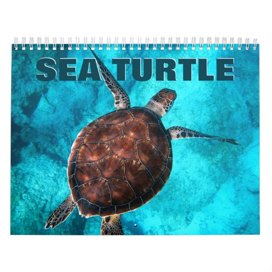 Calendrier du mur des tortues marines (Protection)