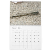 Calendrier du nord-est de Damselflies de (Feb 2026)