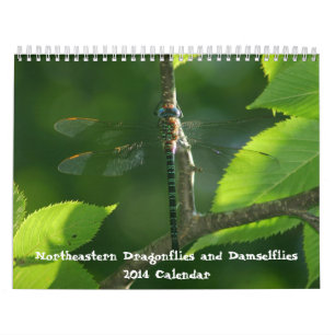 Calendrier du nord-est de Damselflies de