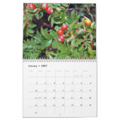 Calendrier du parc national 2009 d'Acadia (Jan 2027)