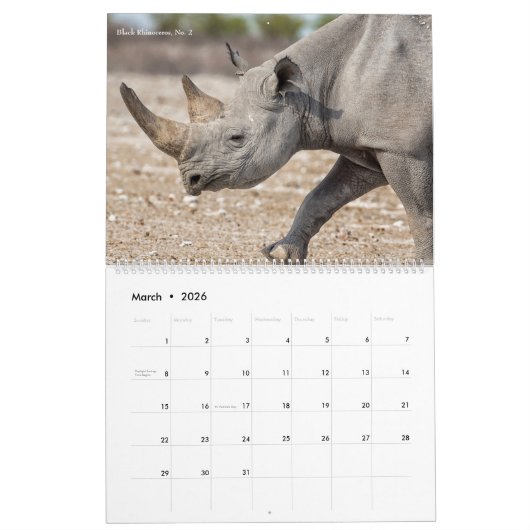 Calendrier du parc national d'Etosha 2020 (Mar 2026)