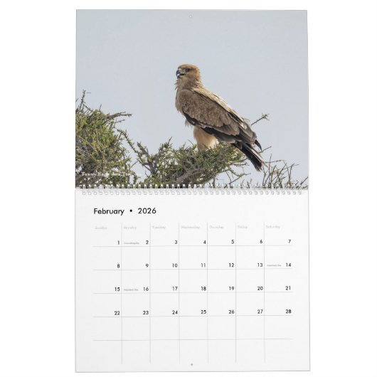 Calendrier du parc national d'Etosha 2020 (Feb 2026)