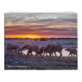Calendrier du parc national d'Etosha 2020 (Protection)