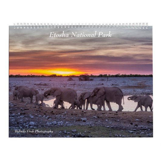 Calendrier du parc national d'Etosha 2020 (Protection)