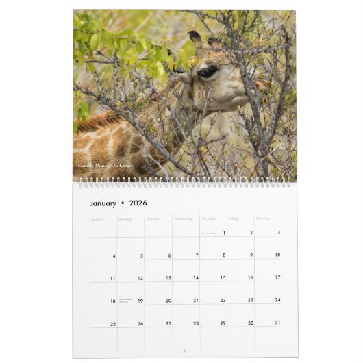 Calendrier du parc national d'Etosha 2020 (Jan 2026)