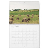 Calendrier du pays Amish 2025 (Mar 2027)