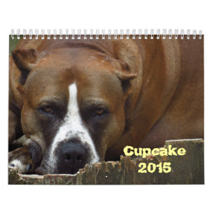 Calendrier du petit gâteau 2015