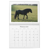 Calendrier du poney 2010 de vallées (Feb 2026)