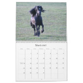 Calendrier du poney 2012 de vallées (Mar 2027)