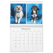 Calendrier Du risque aux mains sûres (Feb 2027)