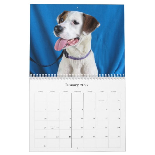 Calendrier Du risque aux mains sûres (Jan 2027)