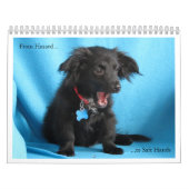 Calendrier Du risque aux mains sûres (Protection)