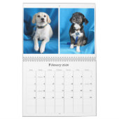 Calendrier Du risque aux mains sûres (Feb 2026)