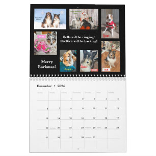 Calendrier du sauvetage des Sheltie du Minnesota 2