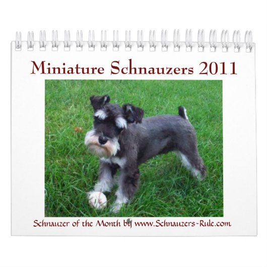 Calendrier du Schnauzer 2016 miniature (Protection)