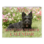 CALENDRIER DU TERRIER ÉCOSSE 2026 (Protection)