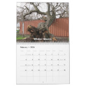 Calendrier du zoo de Mimi (Feb 2026)