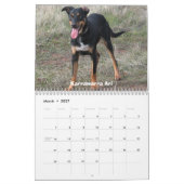 Calendrier du zoo de Mimi (Mar 2027)