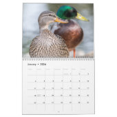 Calendrier Duck Photography 2026 (Jan 2026)