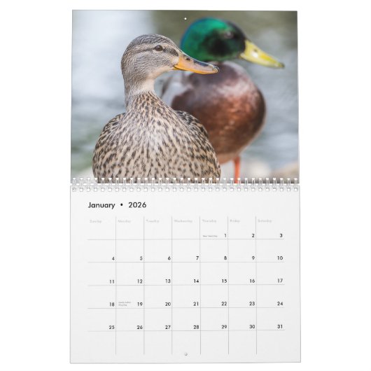 Calendrier Duck Photography 2026 (Jan 2026)