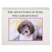 Calendrier Duke le Labradoodle (Protection)