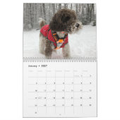 Calendrier Duke le Labradoodle (Jan 2027)