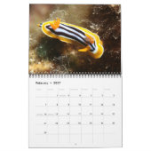 Calendrier d'une année de nudibranches (Feb 2027)
