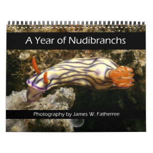 Calendrier d'une année de nudibranches