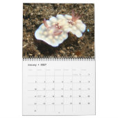 Calendrier d'une année de nudibranches (Jan 2027)