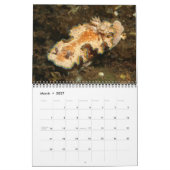 Calendrier d'une année de nudibranches (Mar 2027)