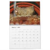 Calendrier d'une année de poulpes (Feb 2027)