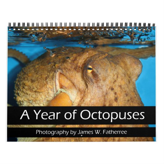 Calendrier d'une année de poulpes (Protection)