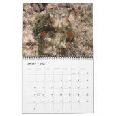 Calendrier d'une année de poulpes (Jan 2027)