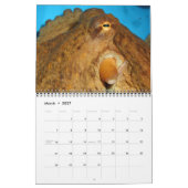 Calendrier d'une année de poulpes (Mar 2027)