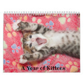 Calendrier d'une année pour les chatons (Protection)