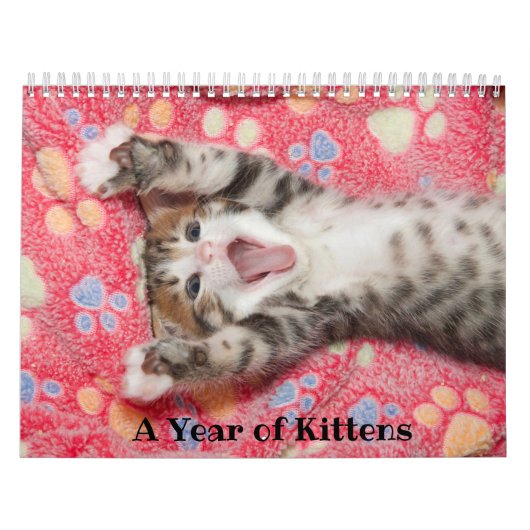 Calendrier d'une année pour les chatons (Protection)