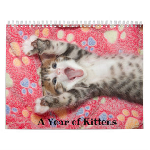 Calendrier d'une année pour les chatons