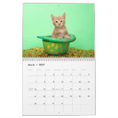 Calendrier d'une année pour les chatons (Mar 2027)