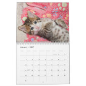 Calendrier d'une année pour les chatons (Jan 2027)