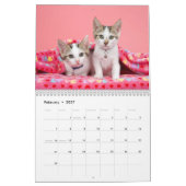 Calendrier d'une année pour les chatons (Feb 2027)