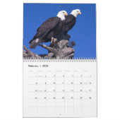 Calendrier Eagles chauve (Feb 2026)