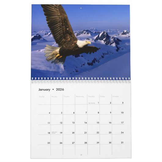 Calendrier Eagles chauve (Jan 2026)