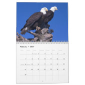 Calendrier Eagles chauve (Feb 2027)