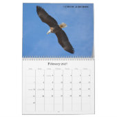 Calendrier Eagles chauve 2015 (Feb 2027)