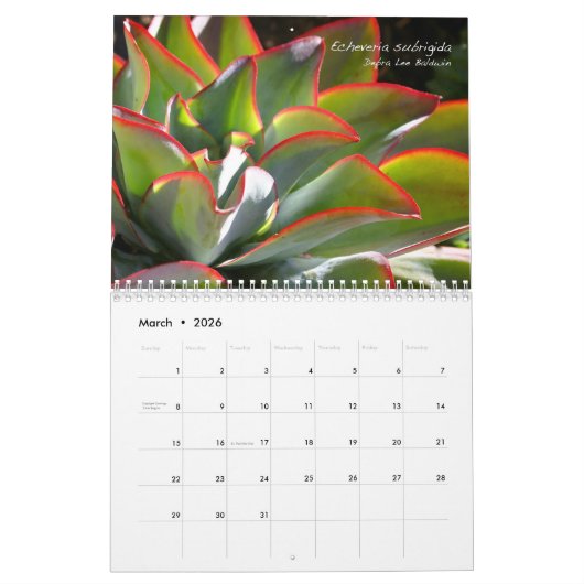 Calendrier Echeverias 20XX par Debra Lee Baldwin (Mar 2026)