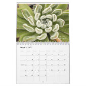 Calendrier Echeverias Succulent 12 mois (Mar 2027)