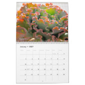 Calendrier Echeverias Succulent 12 mois (Jan 2027)